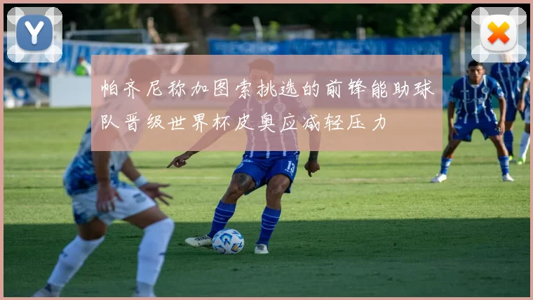 帕齐尼称加图索挑选的前锋能助球队晋级世界杯皮奥应减轻压力